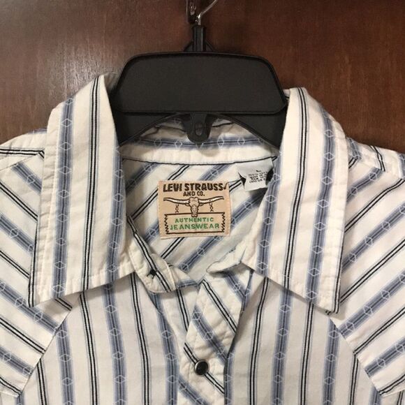 Levi Strauss and Co. Men's Casual Button-down Shirt, Large, Multi-colored - Picture 3 of 7